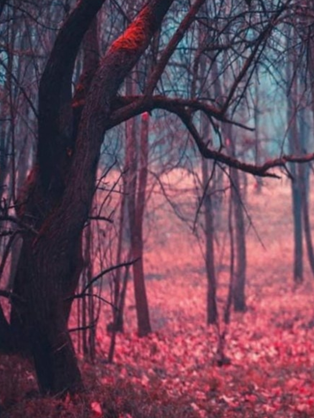 Romantic Mood Forest Scenery Tapestry Blue Pink Red Trees Landscape Big Wall Art